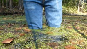 Rubber boots №114 - САПОГИ В БОЛОТЕ 2/3