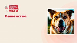 Бешенство передается через слюну животного!