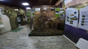 Гузерипль Кавказский заповедник