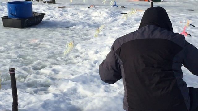 Ловля форели со льда. РК Фишка Липки. 17 марта 2023. смотреть онлайн