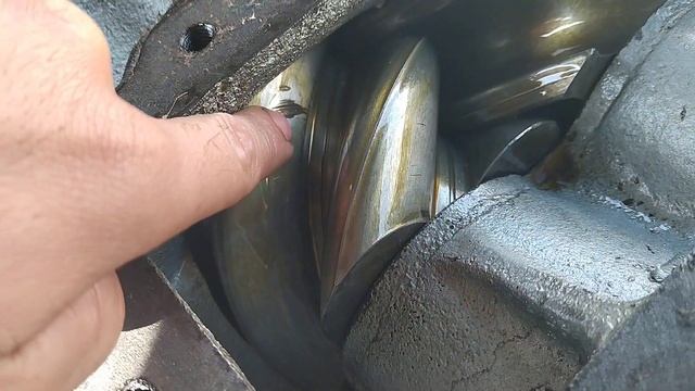 зиф 5.5 смотреть онлайн