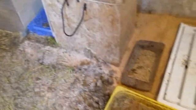 Поилка для индоуток. смотреть онлайн