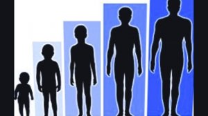 Задержка полового созревания