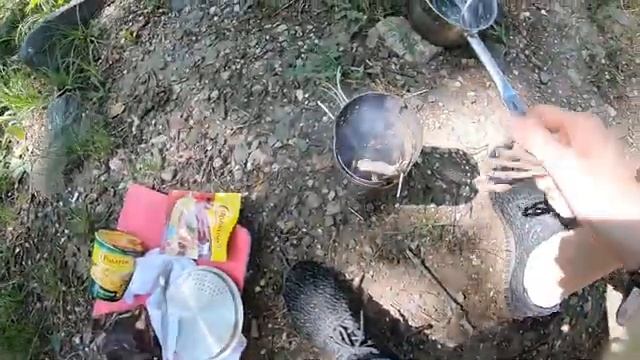 ТУРБОПЕЧКА PS600T ПРЯМО В ПАРКЕ‼️ ГОТОВИМ НА ПРИРОДЕ‼️ ОБЗОР И ТЕСТ‼️ ЛУЧШАЯ ПЕЧКА ЩЕПОЧНИЦА ⁉️