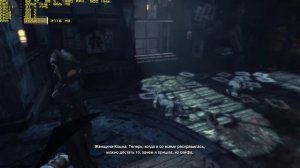 Тест Batman - Arkham City запуск на слабом ПК (4 ядра, 4 ОЗУ, GeForce GTX 550 Ti 1 Гб)