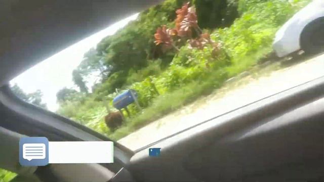 OF - C4 Hatch falha ABS-ESP e Cambio trava 3ª marcha смотреть онлайн