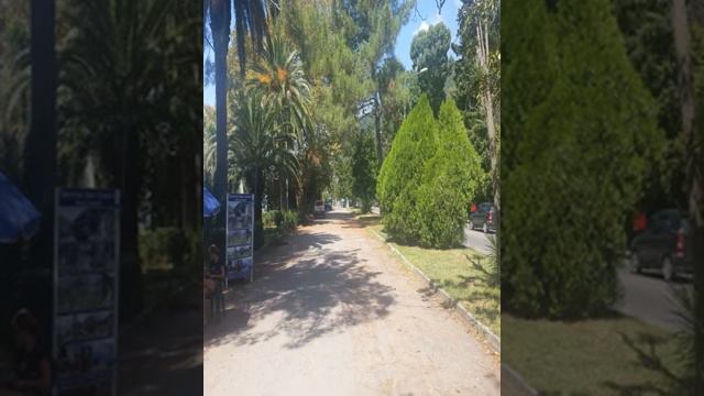 Inn Rif - Gagra - country
