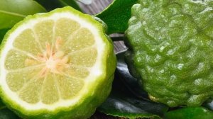 Что такое бергамот - это нужно знать