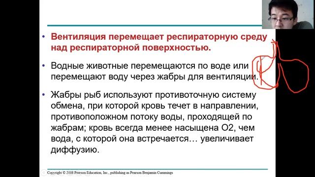 Урок 11. Дыхательная система. Разные виды дыхания. смотреть онлайн