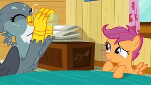 Gabby the Griffon (The Fault In Our Cutie Marks) | MLP: FiM [HD]