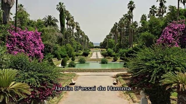 Algeria Алжир Путешествие и отдых смотреть онлайн