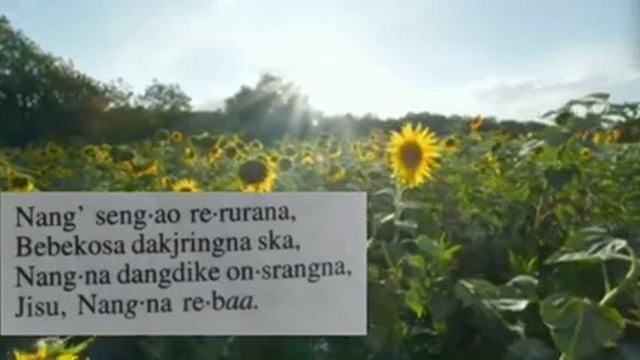 Achik ringani git number 259#Giljagit #mgmmomintv#Karo video смотреть онлайн