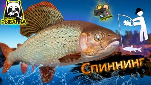 РР4/ рыбалка для души, ловим как универсал, общаемся 6.08.23
