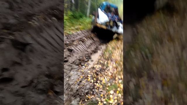 Тайга,мужики,охота,рыбалка,орех,отдых смотреть онлайн