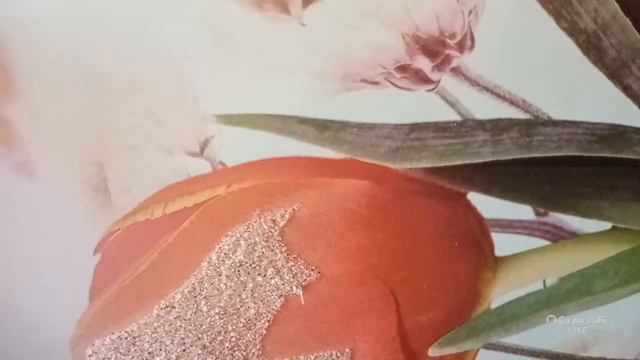 Неудачный стрим, отключилась камера смотреть онлайн