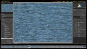 OTTICA PAZZESCA - NIKKOR Z 180-600 F/5,6-6,3 VR RECENSIONE - ITALIANO