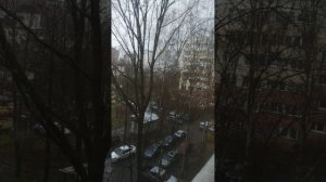 Сирена сегодня в спб