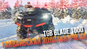 KTZ Защита для TGB BLADE 1000