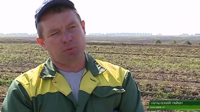 УБОРКА КАРТОФЕЛЯ ЗАВЕРШАЕТСЯ В КФХ ПУЦКО 14 09 17 смотреть онлайн