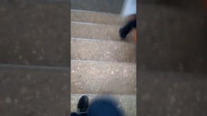 Бабадук в реальной жизни
