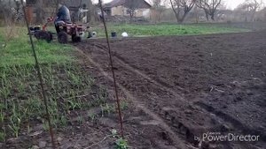 Пробная посадка раннeго картофeля. Агроволокно.