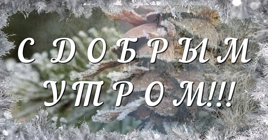 Доброе Утро! Утро Началось! Позитив с утра!