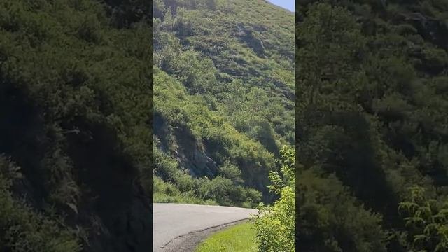 красота ВКО. дорога на Бухтарминское водохранилище