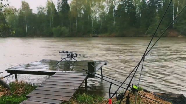 Карп был, но не приплыл ) Открытие по CarpFishing 2022. Львовские пруды. смотреть онлайн
