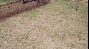 мотоблок КВ-04 Дебют