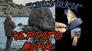 Ловим Каменного окуня на дроп-шот! Ночная морская рыбалка. Новый выпуск!