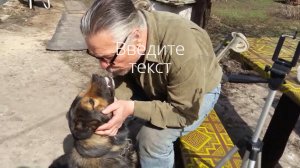 Средство от КЛЕЩЕЙ и комаров. Они боятся этого !