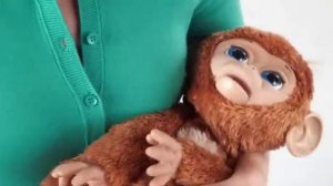 Игрушка интерактивная Смешливая обезьянка от Хасбро (Hasbro) 1650A