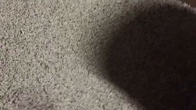 Грануляция пластика HIPS и нарезка через стренгарезку. смотреть онлайн