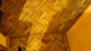 Остановись время Пантерный мухомор