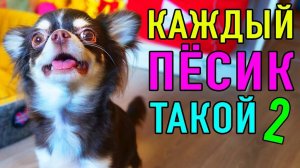 КАЖДЫЙ ПЕСИК ТАКОЙ 2 | ПАРОДИЯ Magic Pets