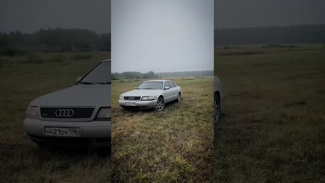 Купить могут все, но позволит далеко не каждый #audi #quattro #audia8 #v8engine