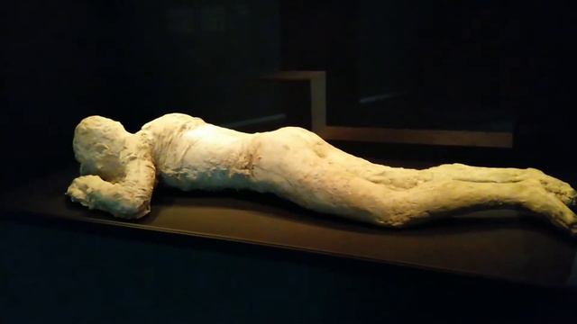 PinchukArtCentre. Фото - на сайте: https://erko.press/pinchuk-art-centre/ смотреть онлайн