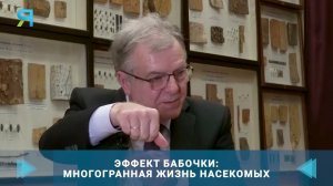 Интервью с Селиховкиным Андреем Витимовичем от Ямал-Медиа