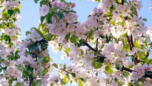 ИСТОРИЯ: происхождение названия месяцев календаря. Римский и греческий стиль. Урок для детей