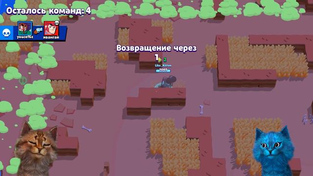 КОТ ЛУЧШИЙ НУБ БРАВЛЕР? ОТ НУБА ДО ПРО! Brawl Stars КОТИК ИГРОМАН И КОТЁНОК ЛАЙК БРАВЛ СТАРС смотреть онлайн