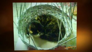 Домик для кошки своими руками