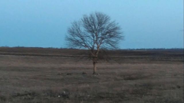 Г.Шпаликов По несчастью или к счастью Читает Ю. Кузнецов смотреть онлайн