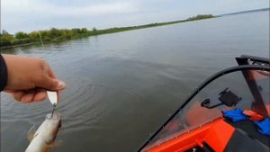 26 июля. Рыбалка на Каме. красный Бор.