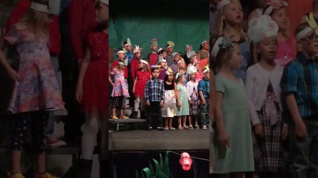 Kadens Kindergarten Concert