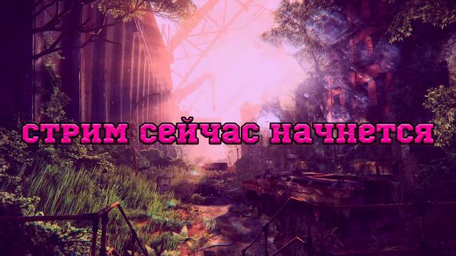 СТРИМ ОЦЕНКА КАНАЛОВ