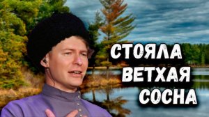 Стояла ветхая сосна. Казачий ансамбль Атаман