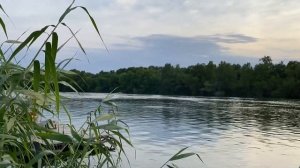 Частный дом на берегу Дона