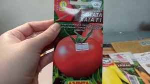 Какие сорта томатов буду сажать в этом году. О ценах #помидоры #сортатоматов