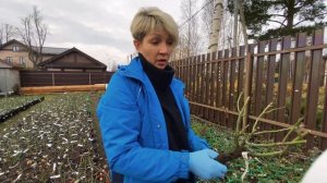 Разница между Открытой и Закрытой корневой системой