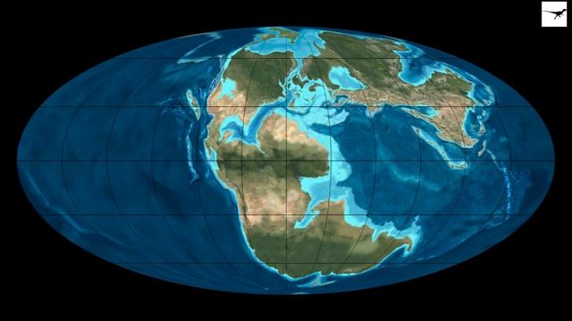 Аммониты * Древние Животные * №10 смотреть онлайн